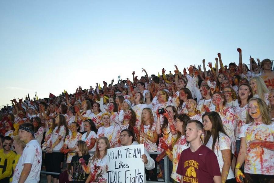 Activities Collaboration Group shows school spirit