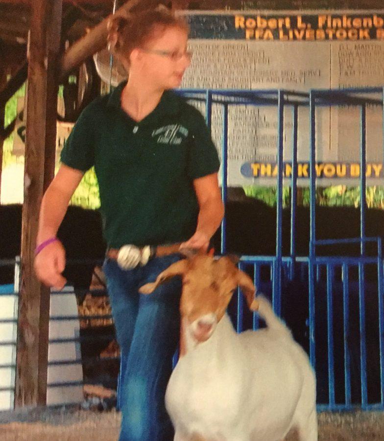 Freshman+shows+goats