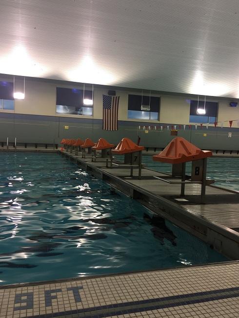 Swimming, diving team builds off of previous season